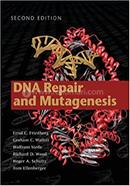 DNA Repair and Mutagenesis image