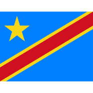 DR Congo Flag FIFA World Cup 2026 image