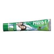 Dabur Herbal Gel Toothpaste Intense Fresh 160 gm image