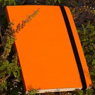 Daily Journal Orange Notebook with Elastic Band (Premium) image