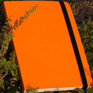 Daily Journal Orange Notebook with Elastic Band