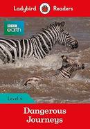 Dangerous Journeys : Level 4 image