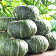 Deshi Organic Sweet Pumpkin Tree Seeds - 10 Pcs image