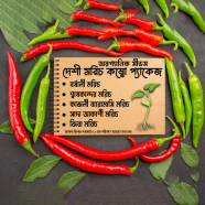 Desi Chili Combo 5 Pack image