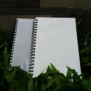 Designer Series Graph Grid and Daily Journal Notebook 2-Pack image
