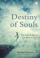 Destiny of Souls image