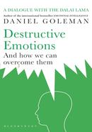 Destructive Emotions image