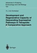 Development and Regenerative Capacity of Descending Supraspinal Pathways in Tetrapods: A Comparative Approach image