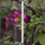 Sevendays Notes Dhaka Wooden Pencil image