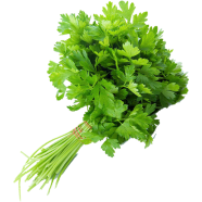 Dhoniya Pata Seed - Mini Pack 10 Pcs image