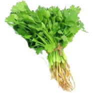 Dhoniya Pata Seed - Mini Pack 30 Pcs image