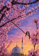 Dhrubotarar Lajuk Akash Ditio Khondo image