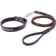 Dog Collar Leash Set, Shock Absorbing Spring, Training Leash for Medium and Large Dog with PU Leather image