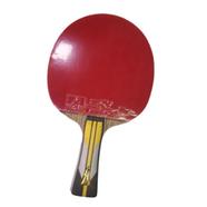 Double Fish 6A-C Table Tennis Bat / Racket 1 piece icon