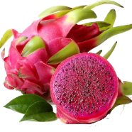 Dragon Fruit Pitaya Seeds 20 Pcs image