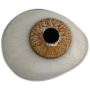 Dreamgirls Venice Brown Color Contact Lens image