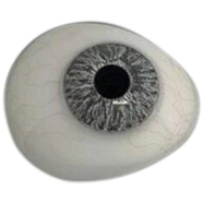 Dreamgirls Venice Gray Color Contact Lens image