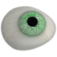 Dreamgirls Venice Green Color Soft Contact Lens image