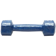 Dumbbell 2 kg Navy Blue - 1 Pcs icon