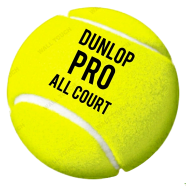 Dunlop Pro Professional Tennis Ball All Court Sports For Practice (tenis_dunlop_3pcs_proallcourt) Multicolor - 3 Pcs image