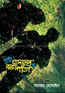 Duti Ghasful O Jhorapata image