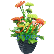 Dwarf Eustoma Bonsai Flower Seeds 10 Pcs image