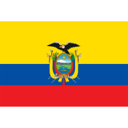 Ecuador Flag FIFA World Cup 2026 Printed Polyester Fabric image