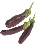 Eggplant 20 Pcs Seeds image