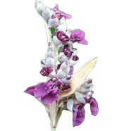 Egrow Grape Kyoho Seeds 10 Pcs image