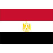 Egypt Flag FIFA World Cup 2026 Printed Polyester Fabric image