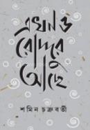 Akhono Roddur Ache image