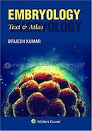 Embryology image