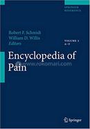 Encyclopedia of Pain image