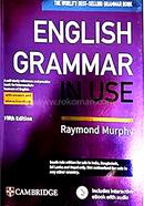 English Grammar In Use image