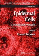 Epidermal Cells image