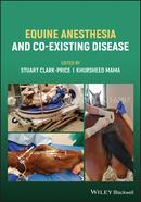 Equine Anesthesia and Co-Existing Disease image