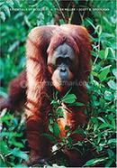 Essentials of Ecology image
