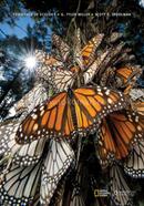 Essentials of Ecology image