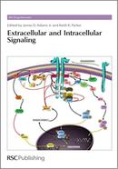 Extracellular and Intracellular Signaling image