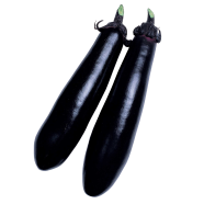 F1 Hybrid Black Eggplant 20 Pcs Seeds image
