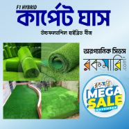 F1 Hybrid Lawn Grass Carpet Grass Seeds image