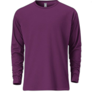 Fabrilife Mens Premium Blank Full Sleeve T-Shirt - Purple image