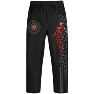 Fabrilife Premium Boys Trouser - Ironman image