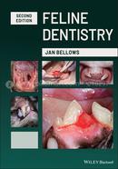 Feline Dentistry image