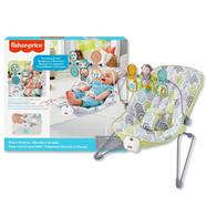 Fisher-Price Baby's Bouncer - GWV94 icon