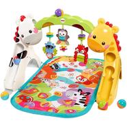 Fisher Price CCB70 NewbornTO Toddler GYM icon
