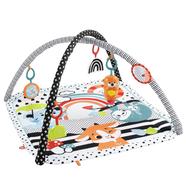 Fisher Price 3-In-1 Music, Glow And Grow Gym image