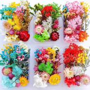 Floating Dried Flower DIY Gift Set (Mother’s Day) image