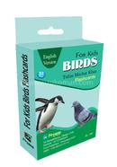 For Kids Birds Flashcards image
