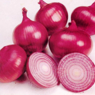 Four Seasons Pakistani Onion Seeds image